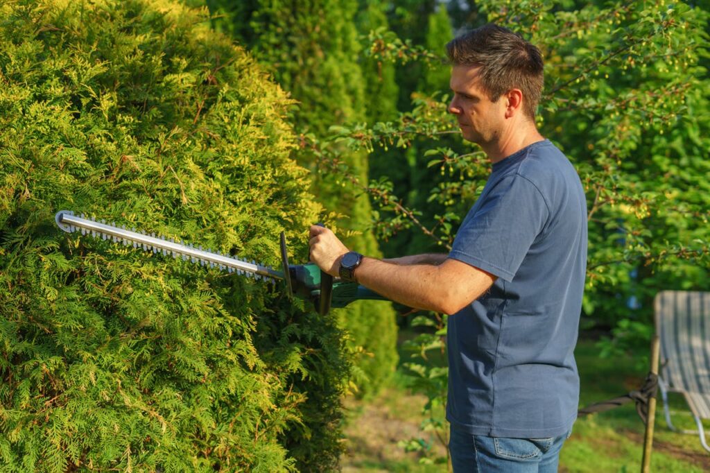 hedge trimming Sydney