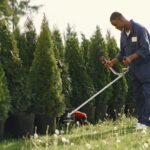 hedge trimming Sydney