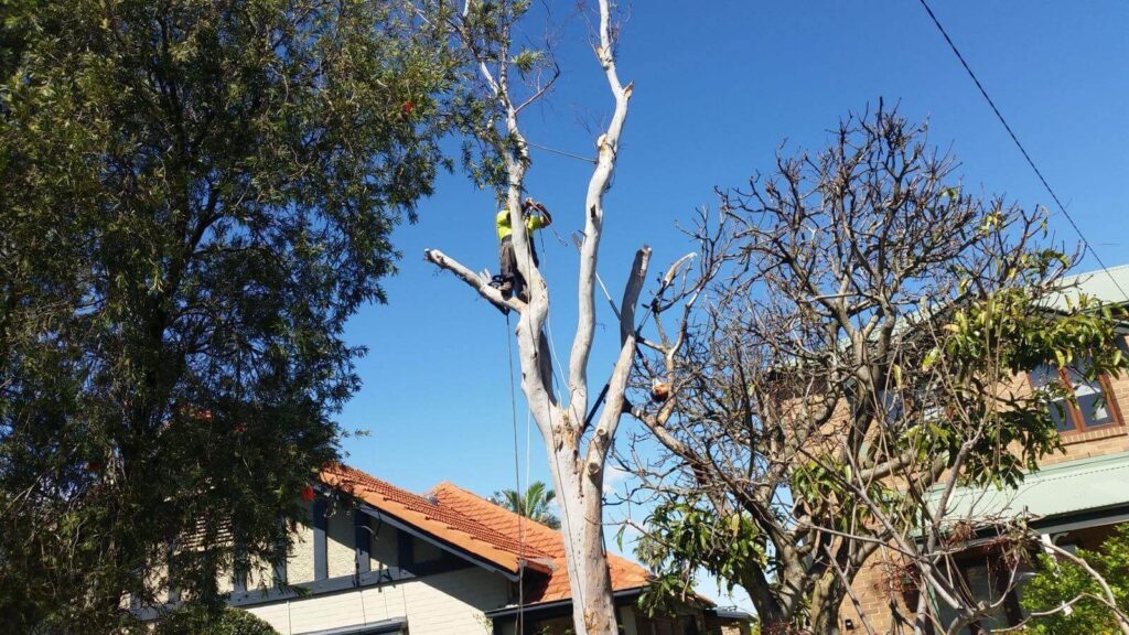 tree pruning cost